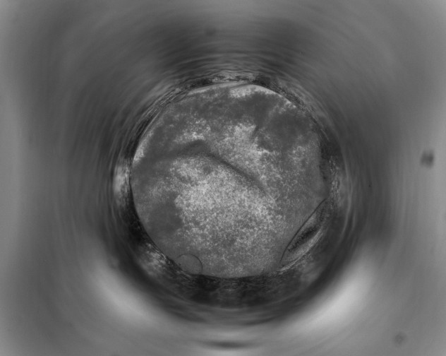 X0000098120191200804181530