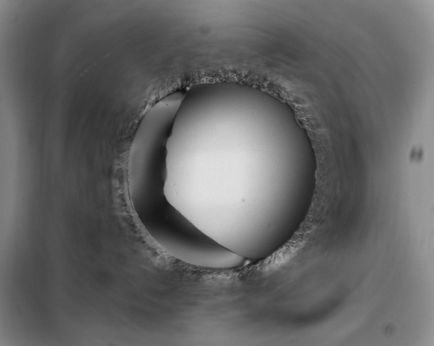 X0000098120192200804181530