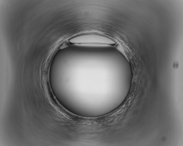 X0000098120193200804181530