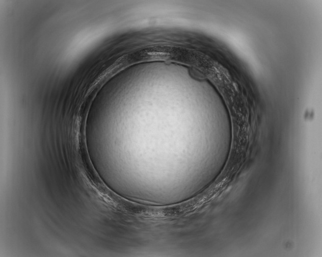 X0000098120194200804181530