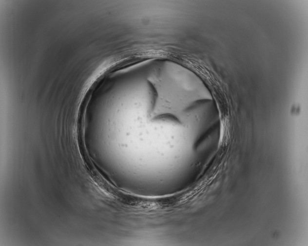 X0000098120195200804181530