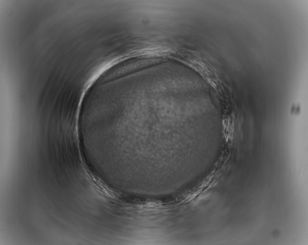 X0000098120196200804181530