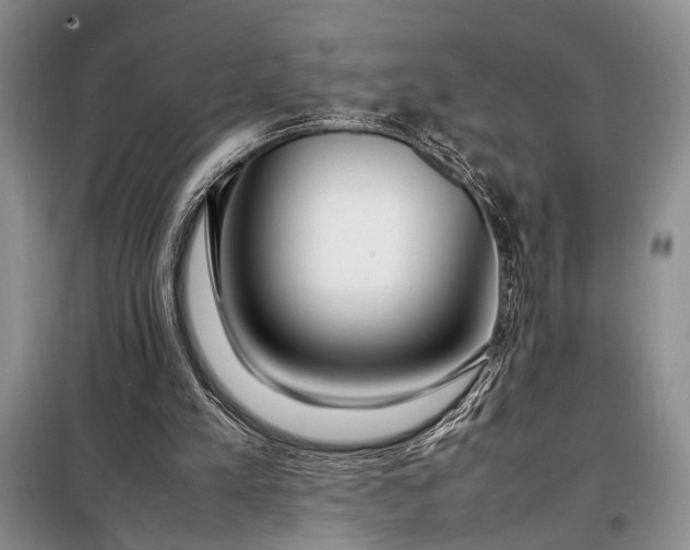 X0000098120197200804181530