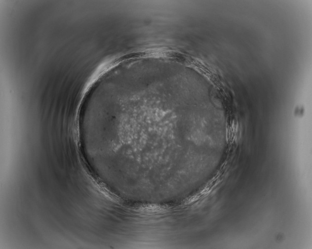 X0000098120198200804181530