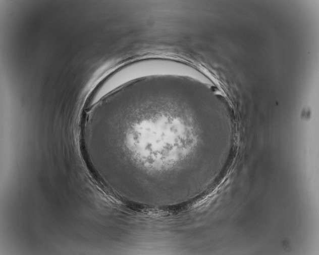 X0000098120199200804181530