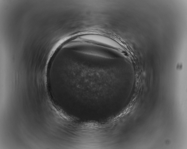 X0000098120200200804181530