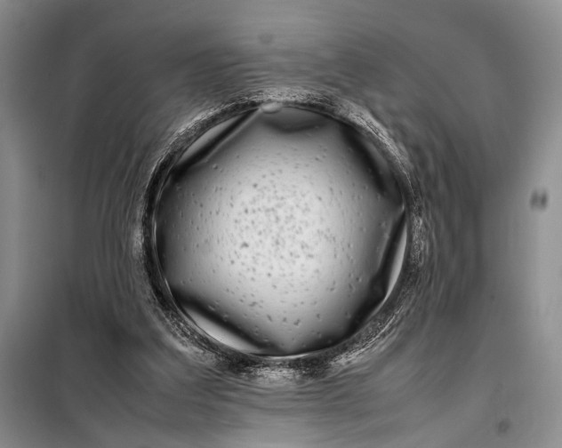 X0000098120203200804181529