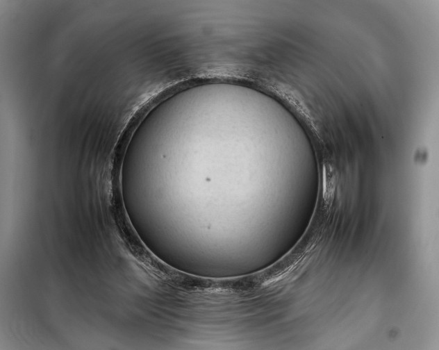 X0000098120204200804181529