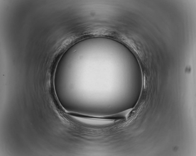 X0000098120205200804181529