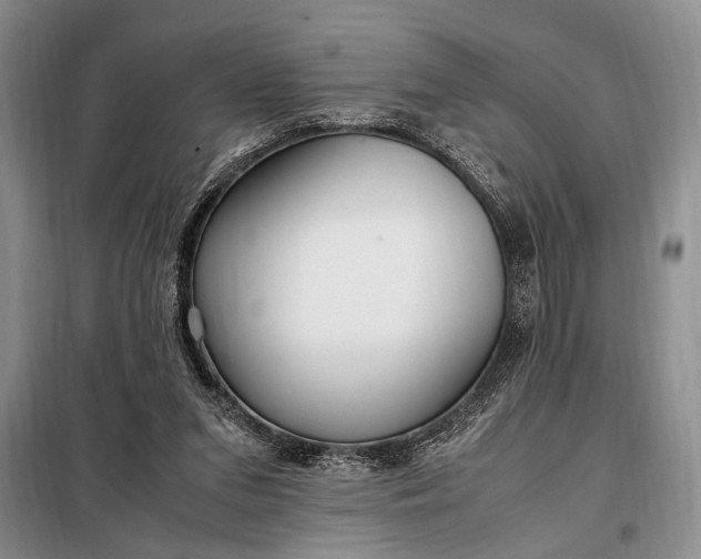 X0000098120207200804181529