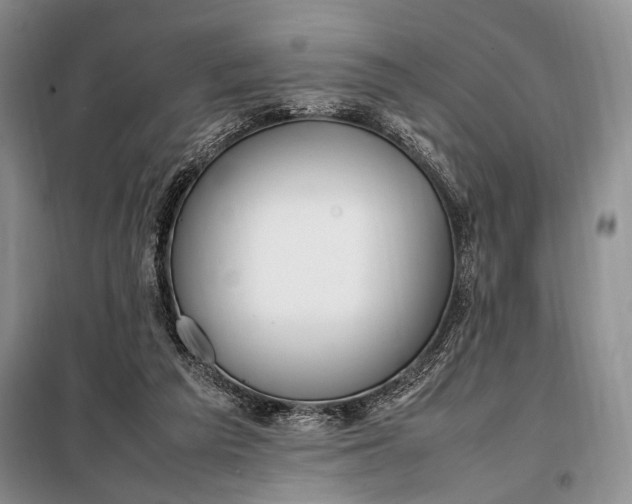 X0000098120209200804181529