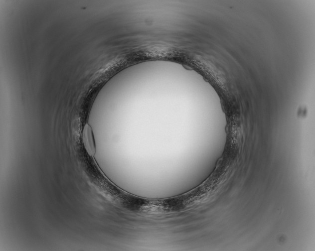 X0000098120211200804181529