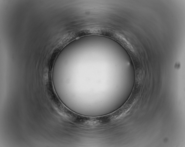X0000098120213200804181529
