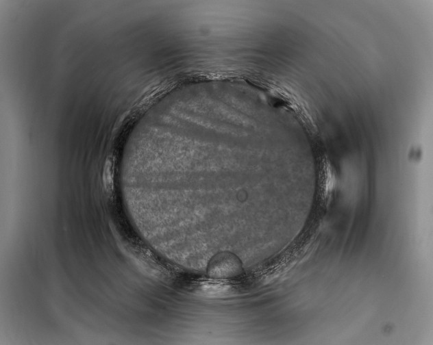 X0000098120214200804181529