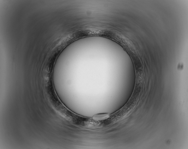 X0000098120215200804181529