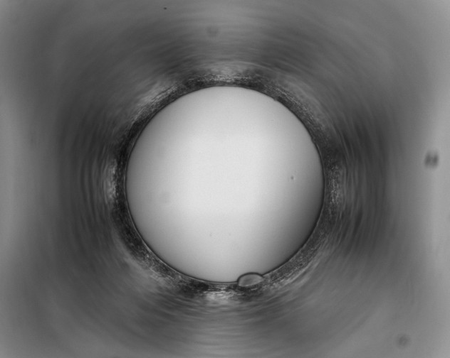 X0000098120216200804181529
