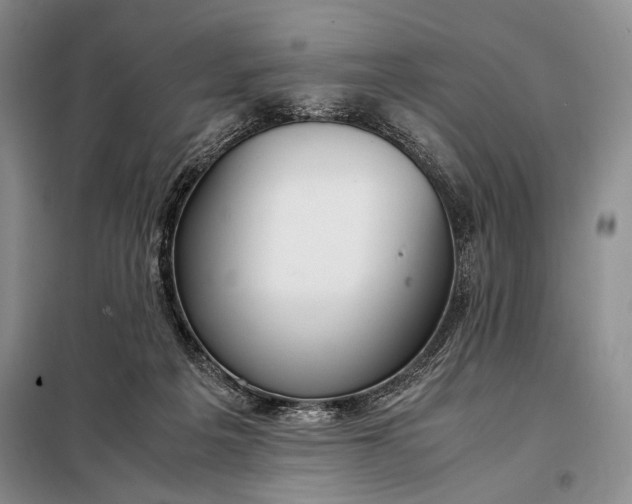 X0000098120217200804181529