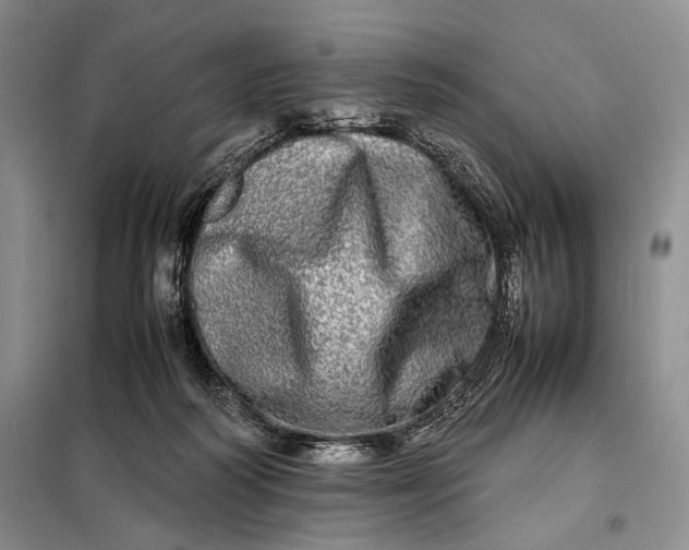 X0000098120218200804181529