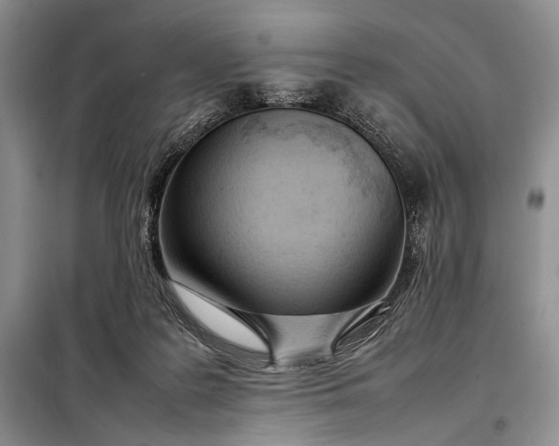 X0000098120219200804181529