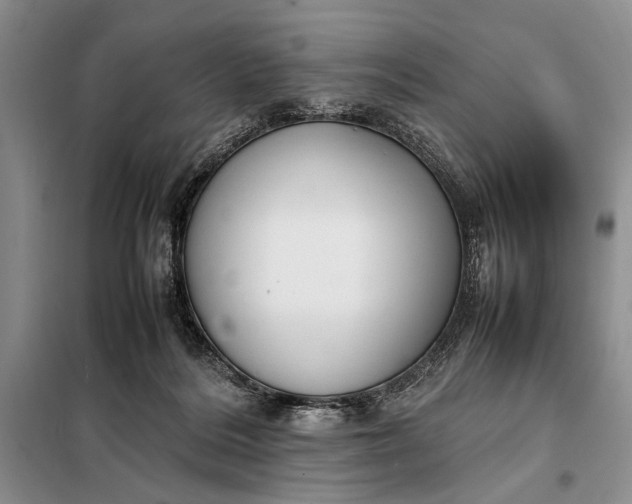 X0000098120220200804181529