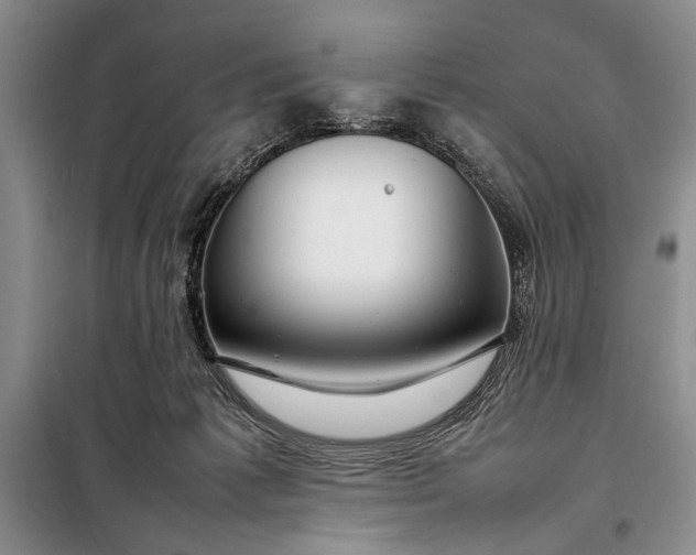 X0000098120221200804181529