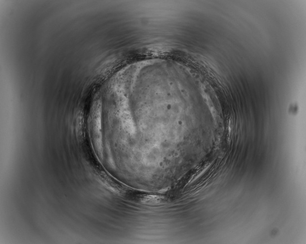 X0000098120222200804181529
