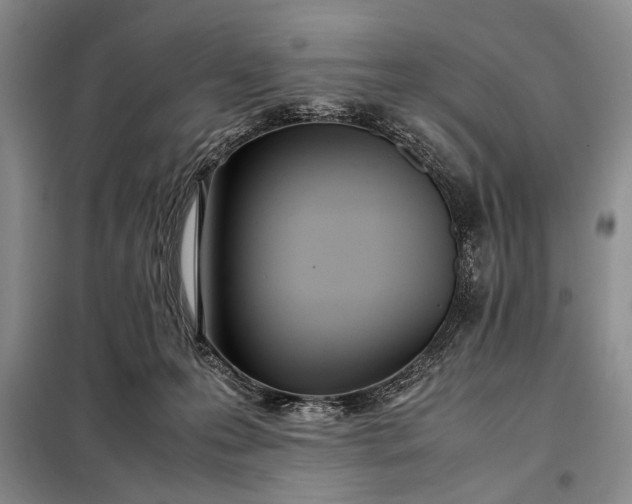 X0000098120223200804181529