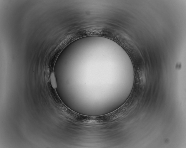 X0000098120224200804181529