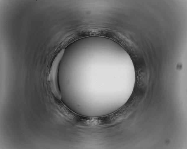 X0000098120225200804181529