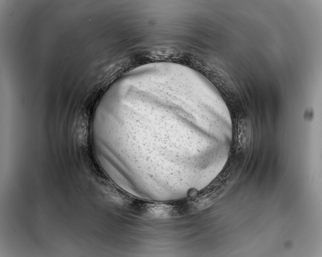 X0000098120226200804181529