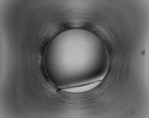 X0000098120227200804181529