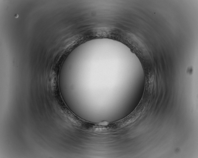 X0000098120228200804181529