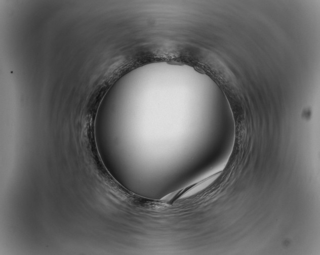 X0000098120229200804181529