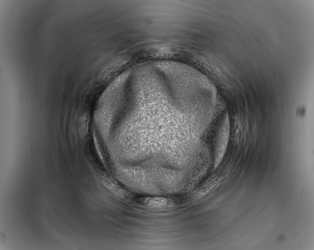 X0000098120230200804181529