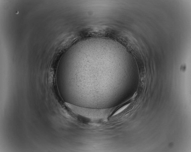 X0000098120231200804181529