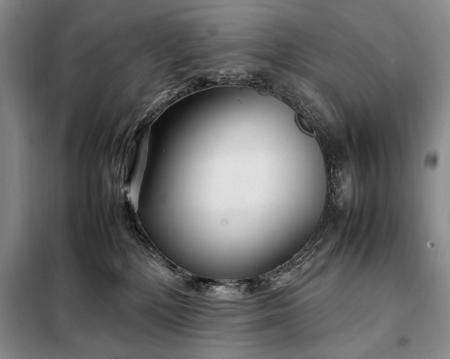X0000098120232200804181529