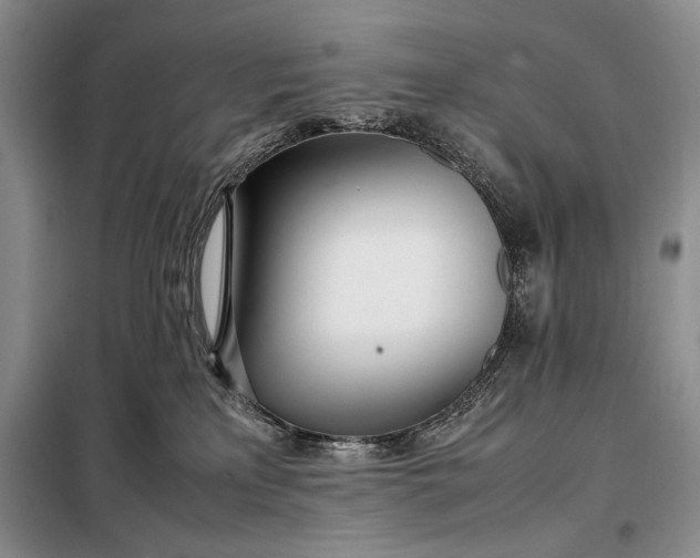 X0000098120233200804181529