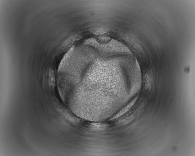 X0000098120234200804181529