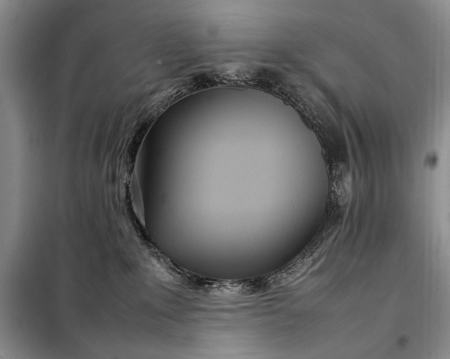 X0000098120235200804181529