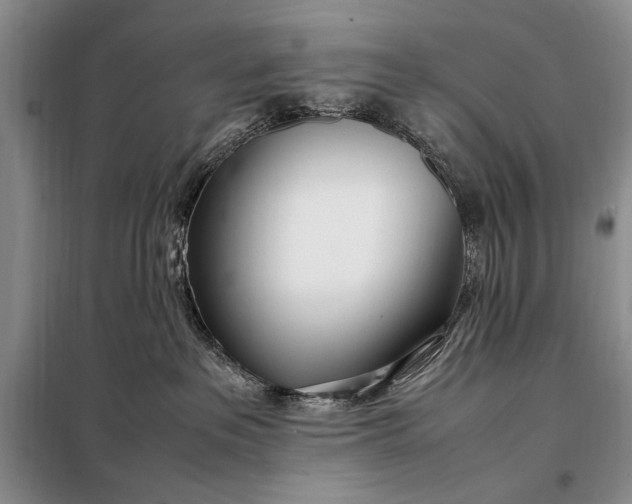 X0000098120237200804181529
