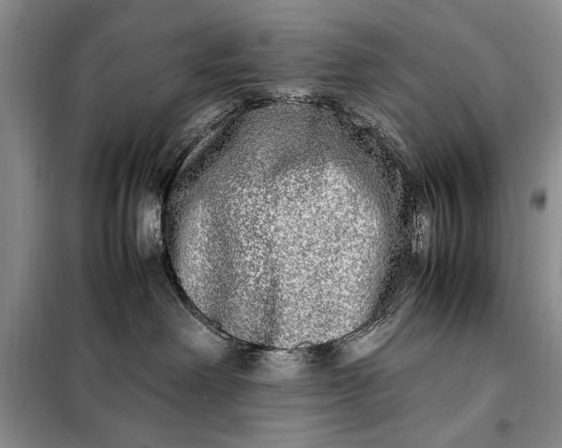 X0000098120238200804181529