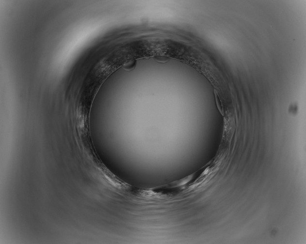 X0000098120239200804181529