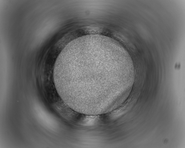 X0000098120240200804181529
