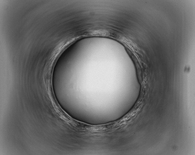 X0000098120241200804181528