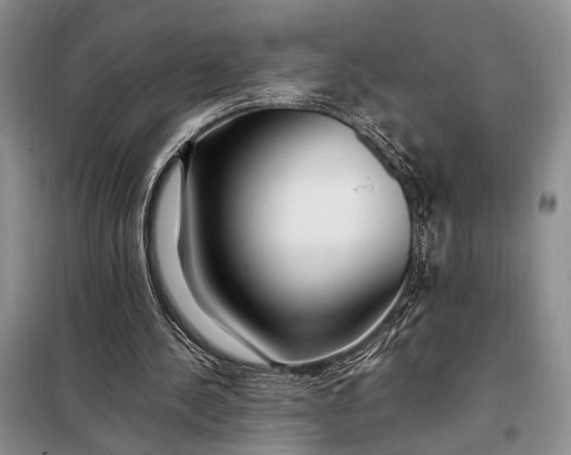X0000098120244200804181528