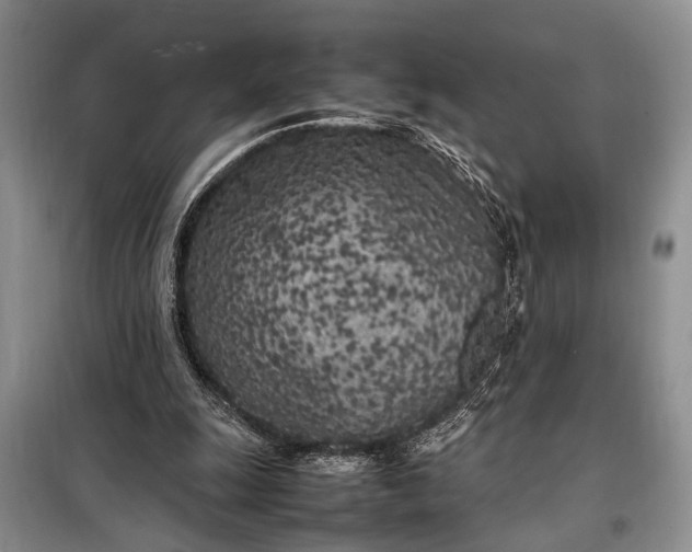 X0000098120247200804181528