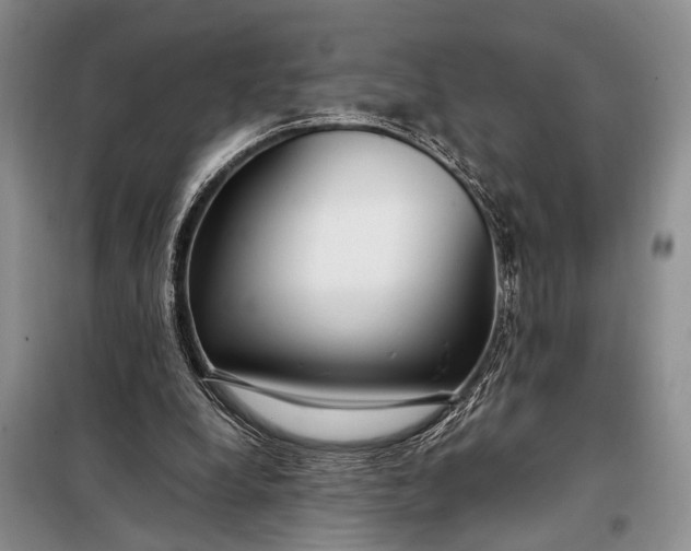 X0000098120248200804181528