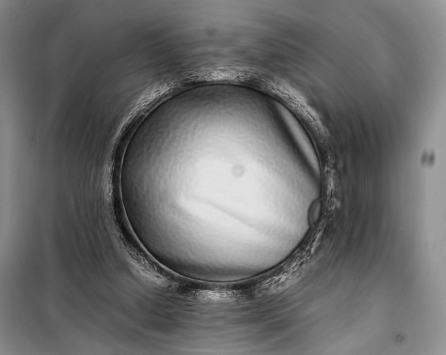 X0000098120250200804181528