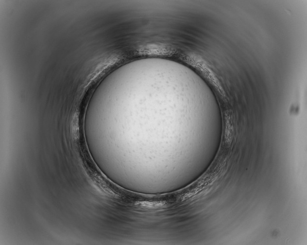 X0000098120251200804181528