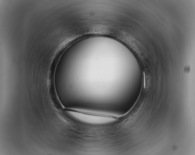 X0000098120252200804181528